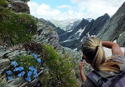 84 Fiori d'alta quota con vista sul versante nord dell'Aga